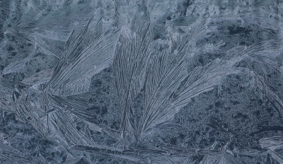 <i class='fa fa-user'></i>&nbsp;Ad Sprang&nbsp;|  IJsbloemen&nbsp; <i class='fa fa-eye'>&nbsp;131</i> &nbsp;<i class='fa fa-thumbs-up'>&nbsp;7</i> &nbsp; <i class='fa fa-comment-o'>&nbsp;9</i>