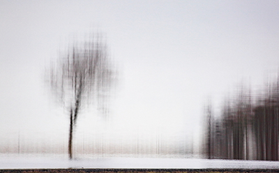 <i class='fa fa-user'></i>&nbsp;Pieter  LJ&nbsp;|  Troebel boompje&nbsp; <i class='fa fa-eye'>&nbsp;100</i> &nbsp; <i class='fa fa-comment-o'>&nbsp;4</i>