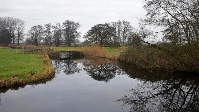 <i class='fa fa-user'></i>&nbsp;kooyammers&nbsp;|  "Niet rendabel"&nbsp; <i class='fa fa-eye'>&nbsp;90</i> &nbsp;<i class='fa fa-thumbs-up'>&nbsp;4</i> &nbsp; <i class='fa fa-comment-o'>&nbsp;10</i>