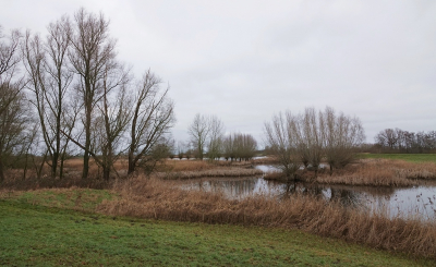 <i class='fa fa-user'></i>&nbsp;Ben Aalders&nbsp;|  Langenholte Buitenlanden&nbsp; <i class='fa fa-eye'>&nbsp;65</i> &nbsp;<i class='fa fa-thumbs-up'>&nbsp;1</i> &nbsp; <i class='fa fa-comment-o'>&nbsp;1</i>