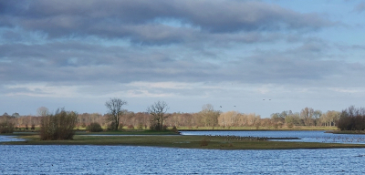 <i class='fa fa-user'></i>&nbsp;Ben Aalders&nbsp;|  IJsselgebied&nbsp; <i class='fa fa-eye'>&nbsp;89</i> &nbsp;<i class='fa fa-thumbs-up'>&nbsp;5</i> &nbsp; <i class='fa fa-comment-o'>&nbsp;8</i>