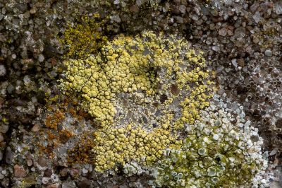 <i class='fa fa-user'></i>&nbsp;Johan van Gurp&nbsp;|  Kerkcitroenkorst&nbsp; <i class='fa fa-eye'>&nbsp;81</i> &nbsp;<i class='fa fa-thumbs-up'>&nbsp;1</i> &nbsp; <i class='fa fa-comment-o'>&nbsp;3</i>