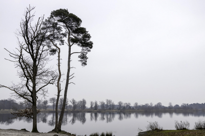 <i class='fa fa-user'></i>&nbsp;Martin Verbeeten&nbsp;|  Belvers Ven&nbsp; <i class='fa fa-eye'>&nbsp;84</i> &nbsp;<i class='fa fa-thumbs-up'>&nbsp;1</i> &nbsp; <i class='fa fa-comment-o'>&nbsp;4</i>