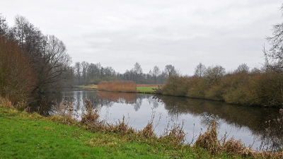 <i class='fa fa-user'></i>&nbsp;kooyammers&nbsp;|  EZH Bos&nbsp; <i class='fa fa-eye'>&nbsp;65</i> &nbsp;<i class='fa fa-thumbs-up'>&nbsp;1</i> &nbsp; <i class='fa fa-comment-o'>&nbsp;1</i>