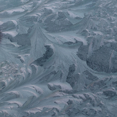 <i class='fa fa-user'></i>&nbsp;Ad Sprang&nbsp;|  IJsbloemen&nbsp; <i class='fa fa-eye'>&nbsp;156</i> &nbsp;<i class='fa fa-thumbs-up'>&nbsp;14</i> &nbsp; <i class='fa fa-comment-o'>&nbsp;15</i>