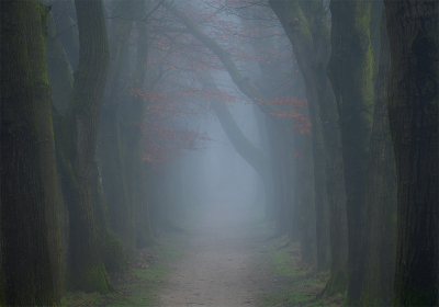 <i class='fa fa-user'></i>&nbsp;Jacob-Carl Pauw&nbsp;|  Mystieke bomenlaan&nbsp; <i class='fa fa-eye'>&nbsp;143</i> &nbsp;<i class='fa fa-thumbs-up'>&nbsp;12</i> &nbsp; <i class='fa fa-comment-o'>&nbsp;7</i>