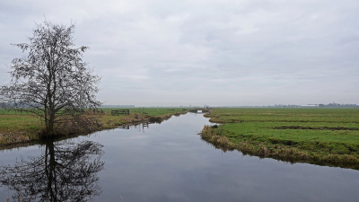 <i class='fa fa-user'></i>&nbsp;kooyammers&nbsp;|  Eenvoud&nbsp; <i class='fa fa-eye'>&nbsp;78</i> &nbsp;<i class='fa fa-thumbs-up'>&nbsp;3</i> &nbsp; <i class='fa fa-comment-o'>&nbsp;6</i>