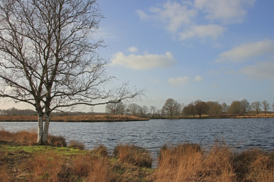 <i class='fa fa-user'></i>&nbsp;Tineke Strijbosch&nbsp;|  Het Zwarte Gat&nbsp; <i class='fa fa-eye'>&nbsp;63</i> &nbsp; <i class='fa fa-comment-o'>&nbsp;5</i>