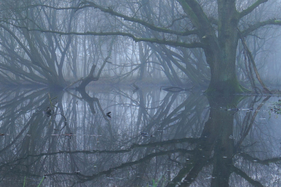 <i class='fa fa-user'></i>&nbsp;Nel R&nbsp;|  Spookbos&nbsp; <i class='fa fa-eye'>&nbsp;158</i> &nbsp;<i class='fa fa-thumbs-up'>&nbsp;10</i> &nbsp; <i class='fa fa-comment-o'>&nbsp;14</i>