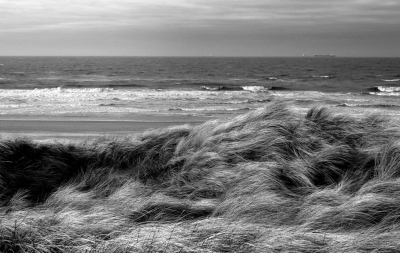 <i class='fa fa-user'></i>&nbsp;B.M.Schouten-Ruis&nbsp;|  De zee&nbsp; <i class='fa fa-eye'>&nbsp;99</i> &nbsp;<i class='fa fa-thumbs-up'>&nbsp;4</i> &nbsp; <i class='fa fa-comment-o'>&nbsp;8</i>