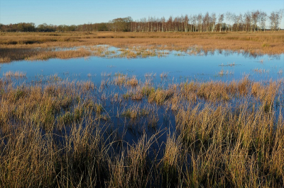 <i class='fa fa-user'></i>&nbsp;frbeuming&nbsp;|  Kloosterveld&nbsp; <i class='fa fa-eye'>&nbsp;77</i> &nbsp; <i class='fa fa-comment-o'>&nbsp;5</i>