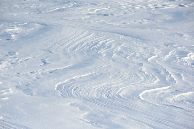 <i class='fa fa-user'></i>&nbsp;Jan Luit&nbsp;|  Wind sporen&nbsp; <i class='fa fa-eye'>&nbsp;91</i> &nbsp;<i class='fa fa-thumbs-up'>&nbsp;1</i> &nbsp; <i class='fa fa-comment-o'>&nbsp;5</i>