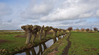 <i class='fa fa-user'></i>&nbsp;kooyammers&nbsp;|  Geknotte wilgen&nbsp; <i class='fa fa-eye'>&nbsp;91</i> &nbsp;<i class='fa fa-thumbs-up'>&nbsp;4</i> &nbsp; <i class='fa fa-comment-o'>&nbsp;7</i>