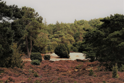 <i class='fa fa-user'></i>&nbsp;frbeuming&nbsp;|  Landschap&nbsp; <i class='fa fa-eye'>&nbsp;84</i> &nbsp;<i class='fa fa-thumbs-up'>&nbsp;1</i> &nbsp; <i class='fa fa-comment-o'>&nbsp;2</i>