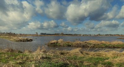 <i class='fa fa-user'></i>&nbsp;B.M.Schouten-Ruis&nbsp;|  Landschap Hooge Boezem (Het Dove gat)&nbsp; <i class='fa fa-eye'>&nbsp;104</i> &nbsp;<i class='fa fa-thumbs-up'>&nbsp;6</i> &nbsp; <i class='fa fa-comment-o'>&nbsp;8</i>