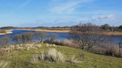 <i class='fa fa-user'></i>&nbsp;kooyammers&nbsp;|  Zwanenwater, Amsterdamse Waterleidingduinen&nbsp; <i class='fa fa-eye'>&nbsp;82</i> &nbsp;<i class='fa fa-thumbs-up'>&nbsp;2</i> &nbsp; <i class='fa fa-comment-o'>&nbsp;3</i>