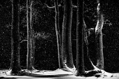 <i class='fa fa-user'></i>&nbsp;Jacob-Carl Pauw&nbsp;|  Nachtelijk winterlandschap&nbsp; <i class='fa fa-eye'>&nbsp;150</i> &nbsp;<i class='fa fa-thumbs-up'>&nbsp;17</i> &nbsp; <i class='fa fa-comment-o'>&nbsp;11</i>