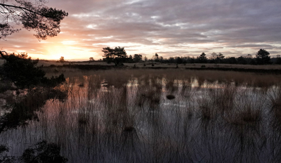 <i class='fa fa-user'></i>&nbsp;nelappelmelk&nbsp;|  Zonsopgang&nbsp; <i class='fa fa-eye'>&nbsp;104</i> &nbsp;<i class='fa fa-thumbs-up'>&nbsp;2</i> &nbsp; <i class='fa fa-comment-o'>&nbsp;9</i>