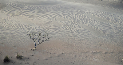 <i class='fa fa-user'></i>&nbsp;Eef Kieft&nbsp;|  "Kalahariwoestijn....."&nbsp; <i class='fa fa-eye'>&nbsp;186</i> &nbsp;<i class='fa fa-thumbs-up'>&nbsp;12</i> &nbsp; <i class='fa fa-comment-o'>&nbsp;15</i>