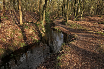 <i class='fa fa-user'></i>&nbsp;frbeuming&nbsp;|  Landschap met beek&nbsp; <i class='fa fa-eye'>&nbsp;82</i> &nbsp; <i class='fa fa-comment-o'>&nbsp;6</i>