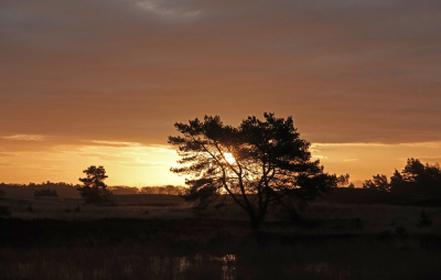 <i class='fa fa-user'></i>&nbsp;nelappelmelk&nbsp;|  Zon&nbsp; <i class='fa fa-eye'>&nbsp;77</i> &nbsp; <i class='fa fa-comment-o'>&nbsp;5</i>