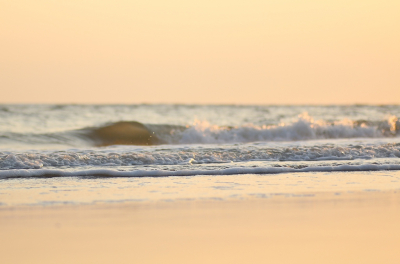 <i class='fa fa-user'></i>&nbsp;Ruben de Bruijn&nbsp;|  Strand&nbsp; <i class='fa fa-eye'>&nbsp;107</i> &nbsp; <i class='fa fa-comment-o'>&nbsp;8</i>