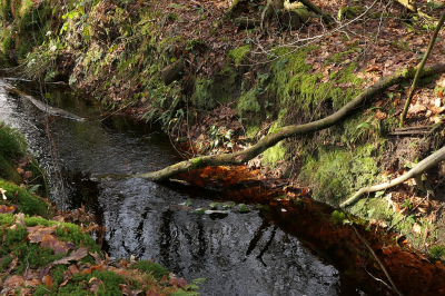 <i class='fa fa-user'></i>&nbsp;frbeuming&nbsp;|  Landschap met beekje&nbsp; <i class='fa fa-eye'>&nbsp;82</i> &nbsp;<i class='fa fa-thumbs-up'>&nbsp;1</i> &nbsp; <i class='fa fa-comment-o'>&nbsp;4</i>