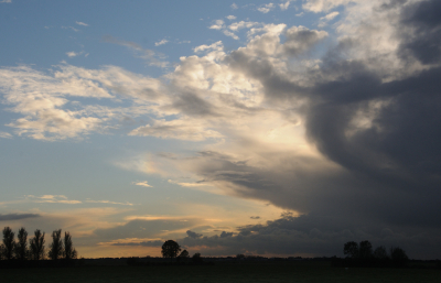 <i class='fa fa-user'></i>&nbsp;corbins&nbsp;|  Linschoterbos&nbsp; <i class='fa fa-eye'>&nbsp;68</i> &nbsp; <i class='fa fa-comment-o'>&nbsp;4</i>