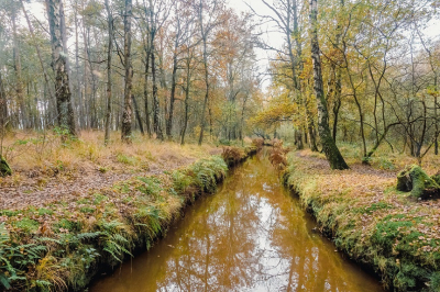 <i class='fa fa-user'></i>&nbsp;harrie69&nbsp;|  De Rosep met herfstlandschap&nbsp; <i class='fa fa-eye'>&nbsp;98</i> &nbsp; <i class='fa fa-comment-o'>&nbsp;2</i>