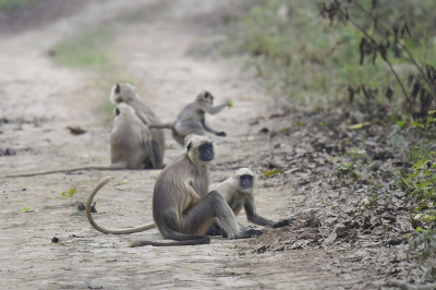 <i class='fa fa-user'></i>&nbsp;Gerard Visser&nbsp;|  Teraihoelman&nbsp; <i class='fa fa-eye'>&nbsp;106</i> &nbsp;<i class='fa fa-thumbs-up'>&nbsp;7</i> &nbsp; <i class='fa fa-comment-o'>&nbsp;6</i>