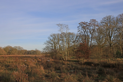 <i class='fa fa-user'></i>&nbsp;Tineke Strijbosch&nbsp;|  Scheebroekerloop&nbsp; <i class='fa fa-eye'>&nbsp;74</i> &nbsp;<i class='fa fa-thumbs-up'>&nbsp;1</i> &nbsp; <i class='fa fa-comment-o'>&nbsp;6</i>