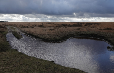 <i class='fa fa-user'></i>&nbsp;nelappelmelk&nbsp;|  Dreiging&nbsp; <i class='fa fa-eye'>&nbsp;98</i> &nbsp; <i class='fa fa-comment-o'>&nbsp;4</i>