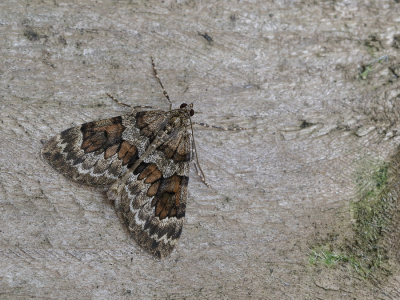 <i class='fa fa-user'></i>&nbsp;Ad Sprang&nbsp;|  Schijn-sparspanner&nbsp; <i class='fa fa-eye'>&nbsp;102</i> &nbsp;<i class='fa fa-thumbs-up'>&nbsp;8</i> &nbsp; <i class='fa fa-comment-o'>&nbsp;10</i>