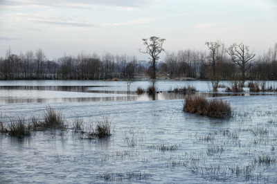 <i class='fa fa-user'></i>&nbsp;nelappelmelk&nbsp;|  Vleugje winter 2&nbsp; <i class='fa fa-eye'>&nbsp;105</i> &nbsp;<i class='fa fa-thumbs-up'>&nbsp;2</i> &nbsp; <i class='fa fa-comment-o'>&nbsp;4</i>