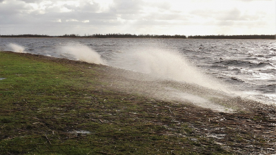 <i class='fa fa-user'></i>&nbsp;frbeuming&nbsp;|  Golfslag Belterwijde&nbsp; <i class='fa fa-eye'>&nbsp;93</i> &nbsp; <i class='fa fa-comment-o'>&nbsp;4</i>