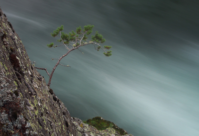 <i class='fa fa-user'></i>&nbsp;Eric Gibcus&nbsp;|  Grove Den&nbsp; <i class='fa fa-eye'>&nbsp;158</i> &nbsp;<i class='fa fa-thumbs-up'>&nbsp;9</i> &nbsp; <i class='fa fa-comment-o'>&nbsp;8</i>