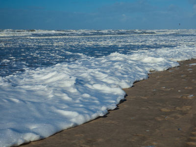 <i class='fa fa-user'></i>&nbsp;susan meijnders&nbsp;|  Tussen Dudley en Eunice&nbsp; <i class='fa fa-eye'>&nbsp;92</i> &nbsp;<i class='fa fa-thumbs-up'>&nbsp;1</i> &nbsp; <i class='fa fa-comment-o'>&nbsp;6</i>