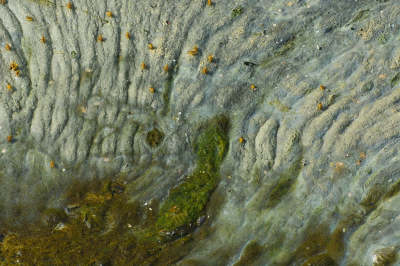 <i class='fa fa-user'></i>&nbsp;Bert Veerman&nbsp;|  Veek&nbsp; <i class='fa fa-eye'>&nbsp;95</i> &nbsp;<i class='fa fa-thumbs-up'>&nbsp;2</i> &nbsp; <i class='fa fa-comment-o'>&nbsp;4</i>