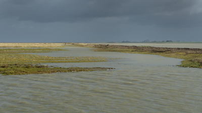 <i class='fa fa-user'></i>&nbsp;Hendrik van Kampen&nbsp;|  Ferwerderadeels Buitendijkspolder&nbsp; <i class='fa fa-eye'>&nbsp;86</i> &nbsp;<i class='fa fa-thumbs-up'>&nbsp;2</i> &nbsp; <i class='fa fa-comment-o'>&nbsp;6</i>