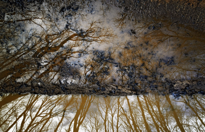 <i class='fa fa-user'></i>&nbsp;liesbeth van vliet&nbsp;|  Bospad plas&nbsp; <i class='fa fa-eye'>&nbsp;204</i> &nbsp;<i class='fa fa-thumbs-up'>&nbsp;15</i> &nbsp; <i class='fa fa-comment-o'>&nbsp;12</i>