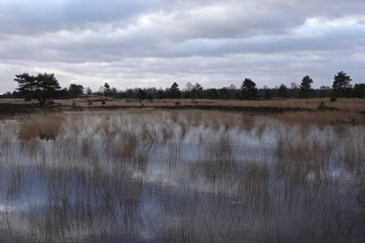 <i class='fa fa-user'></i>&nbsp;nelappelmelk&nbsp;|  Regenven&nbsp; <i class='fa fa-eye'>&nbsp;70</i> &nbsp;<i class='fa fa-thumbs-up'>&nbsp;1</i> &nbsp; <i class='fa fa-comment-o'>&nbsp;4</i>