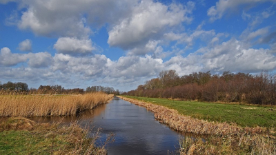 <i class='fa fa-user'></i>&nbsp;kooyammers&nbsp;|  Tussen Okkerse - en Kromme Kade&nbsp; <i class='fa fa-eye'>&nbsp;71</i> &nbsp;<i class='fa fa-thumbs-up'>&nbsp;3</i> &nbsp; <i class='fa fa-comment-o'>&nbsp;4</i>