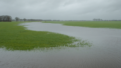 <i class='fa fa-user'></i>&nbsp;Hendrik van Kampen&nbsp;|  Kuunder&nbsp; <i class='fa fa-eye'>&nbsp;127</i> &nbsp;<i class='fa fa-thumbs-up'>&nbsp;4</i> &nbsp; <i class='fa fa-comment-o'>&nbsp;7</i>