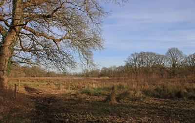 <i class='fa fa-user'></i>&nbsp;Tineke Strijbosch&nbsp;|  Landschap in het late zonlicht&nbsp; <i class='fa fa-eye'>&nbsp;79</i> &nbsp;<i class='fa fa-thumbs-up'>&nbsp;1</i> &nbsp; <i class='fa fa-comment-o'>&nbsp;5</i>
