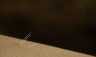 <i class='fa fa-user'></i>&nbsp;Eric Gibcus&nbsp;|  Helm&nbsp; <i class='fa fa-eye'>&nbsp;100</i> &nbsp; <i class='fa fa-comment-o'>&nbsp;4</i>