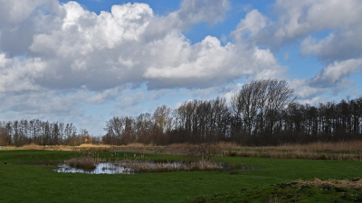 <i class='fa fa-user'></i>&nbsp;kooyammers&nbsp;|  Tussen Okkerse- en Kromme Kade II&nbsp; <i class='fa fa-eye'>&nbsp;70</i> &nbsp;<i class='fa fa-thumbs-up'>&nbsp;1</i> &nbsp; <i class='fa fa-comment-o'>&nbsp;3</i>