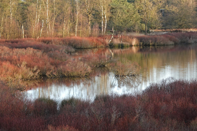 <i class='fa fa-user'></i>&nbsp;nelappelmelk&nbsp;|  Kleur !&nbsp; <i class='fa fa-eye'>&nbsp;146</i> &nbsp;<i class='fa fa-thumbs-up'>&nbsp;3</i> &nbsp; <i class='fa fa-comment-o'>&nbsp;10</i>