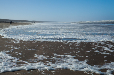 <i class='fa fa-user'></i>&nbsp;susan meijnders&nbsp;|  Schuimstorm&nbsp; <i class='fa fa-eye'>&nbsp;84</i> &nbsp; <i class='fa fa-comment-o'>&nbsp;3</i>