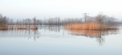 <i class='fa fa-user'></i>&nbsp;nelappelmelk&nbsp;|  Verstild landschap&nbsp; <i class='fa fa-eye'>&nbsp;105</i> &nbsp;<i class='fa fa-thumbs-up'>&nbsp;8</i> &nbsp; <i class='fa fa-comment-o'>&nbsp;8</i>