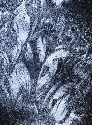 <i class='fa fa-user'></i>&nbsp;Pieter  LJ&nbsp;|  IJsbloemen&nbsp; <i class='fa fa-eye'>&nbsp;73</i> &nbsp;<i class='fa fa-thumbs-up'>&nbsp;1</i> &nbsp; <i class='fa fa-comment-o'>&nbsp;3</i>